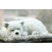 Игрушка спящая собака белая с бамбуковым углем в салон автомобиля
